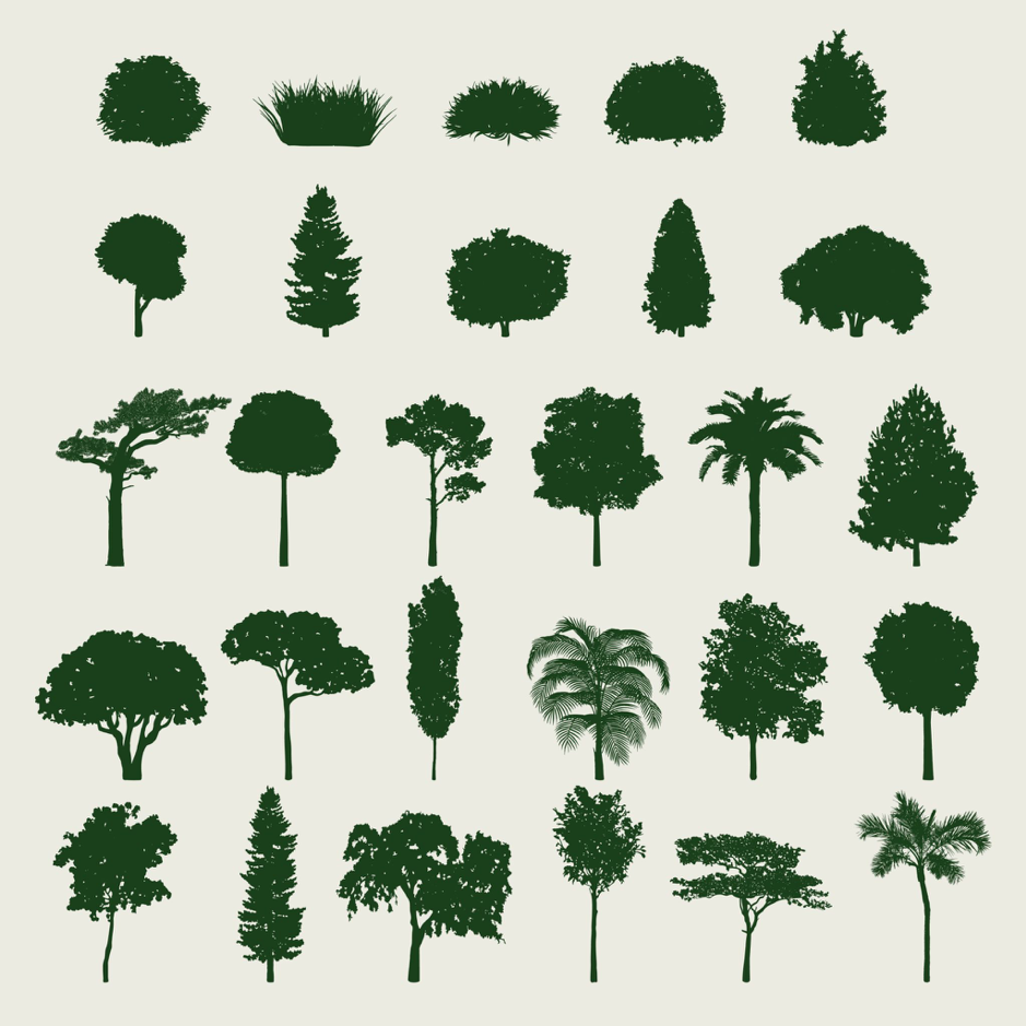 les arbres